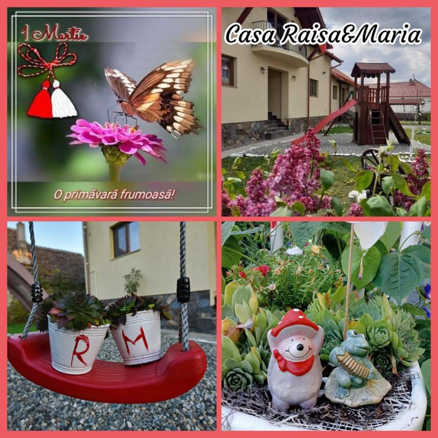 מלון אוקנה סיביולוי Casa Raisa & Maria מראה חיצוני תמונה